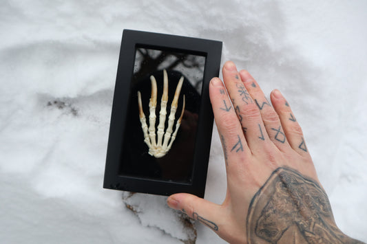 Badger Paw Articulation