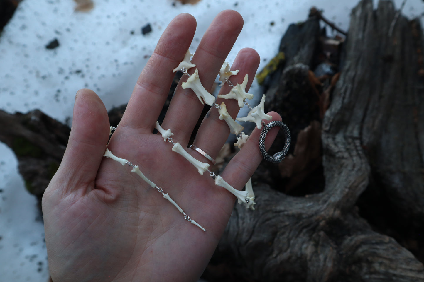 Fluid Red Fox Tail Articulation with Ouroboros Ring
