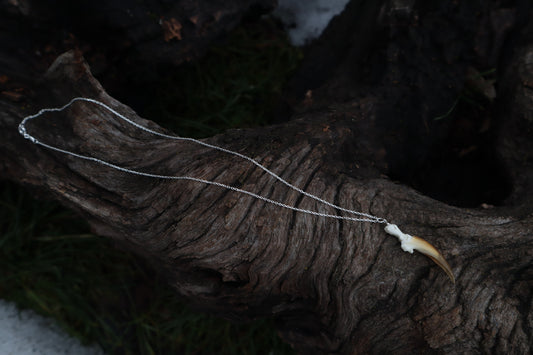 Porcupine Claw Necklace- .925 Silver