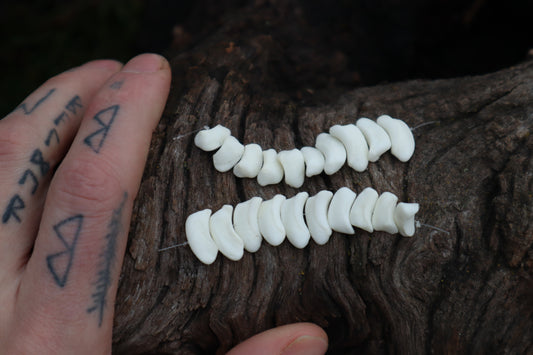 Gray Wolf Bone Beads