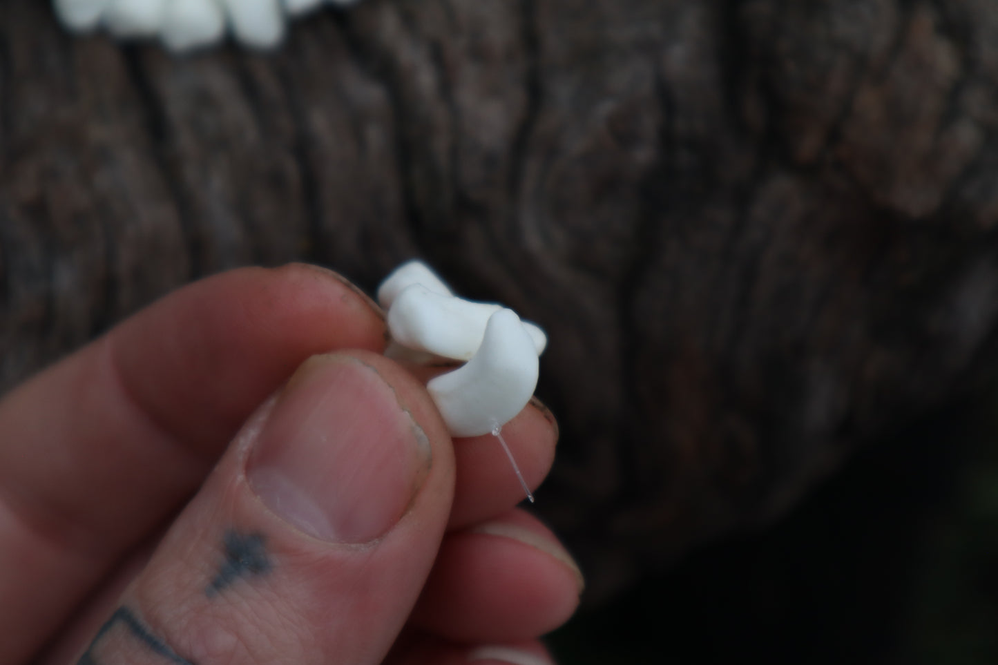 Gray Wolf Bone Beads