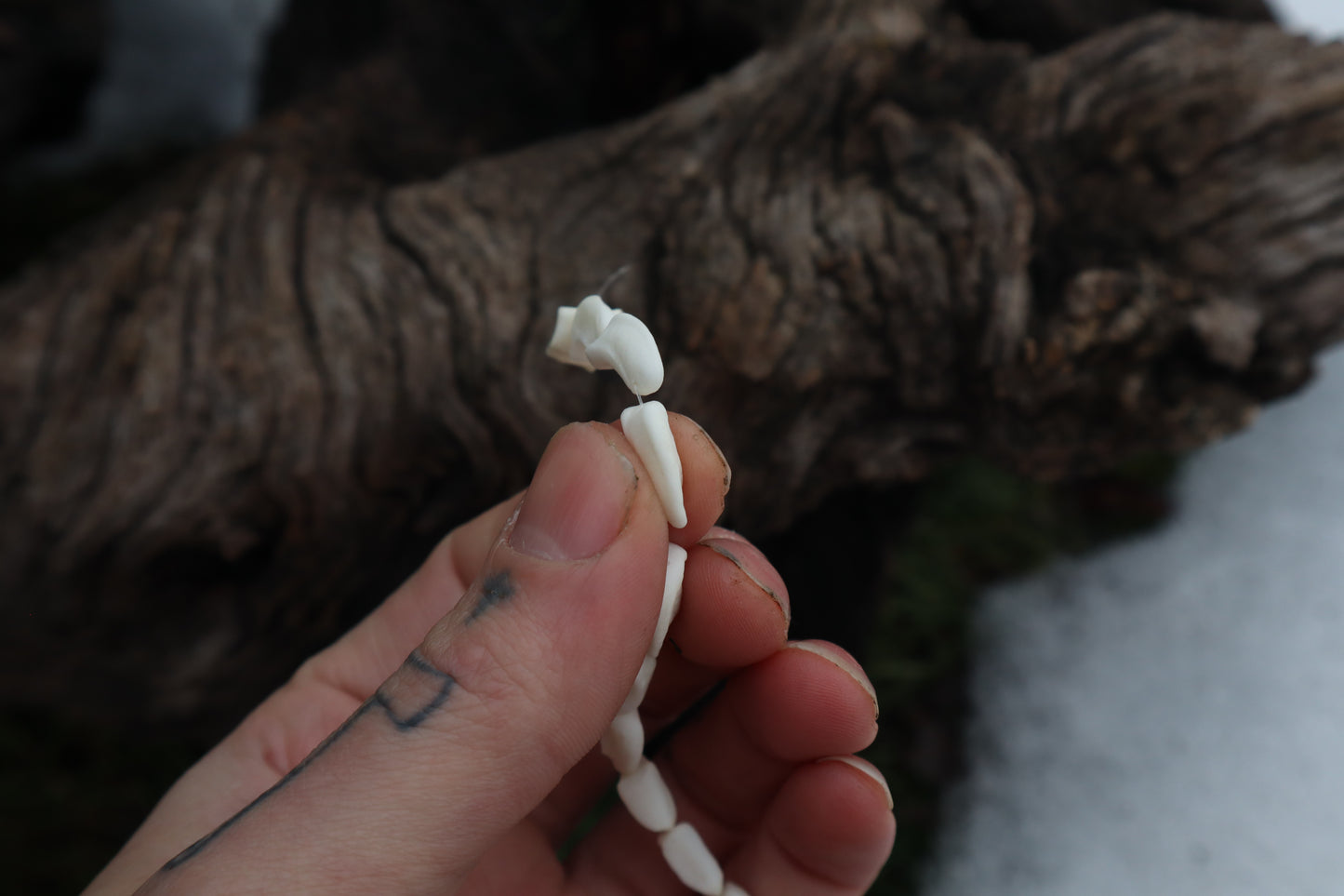 Gray Wolf Bone Beads