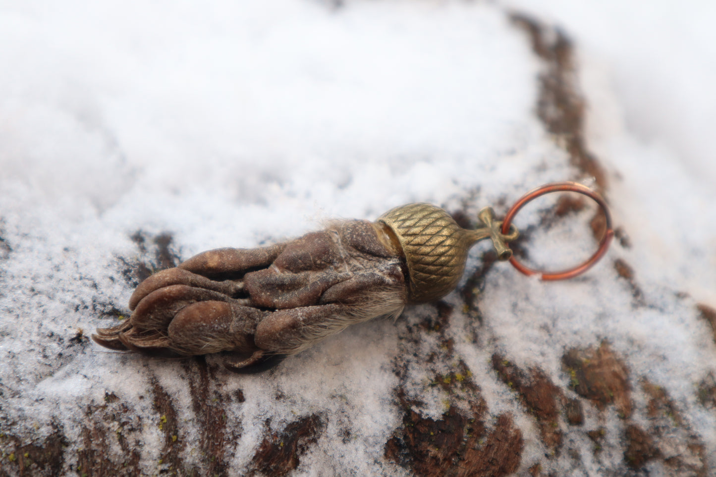 Raccoon Paw Acorn Keychain