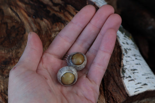Dry Preserved Gray Wolf Eyeballs