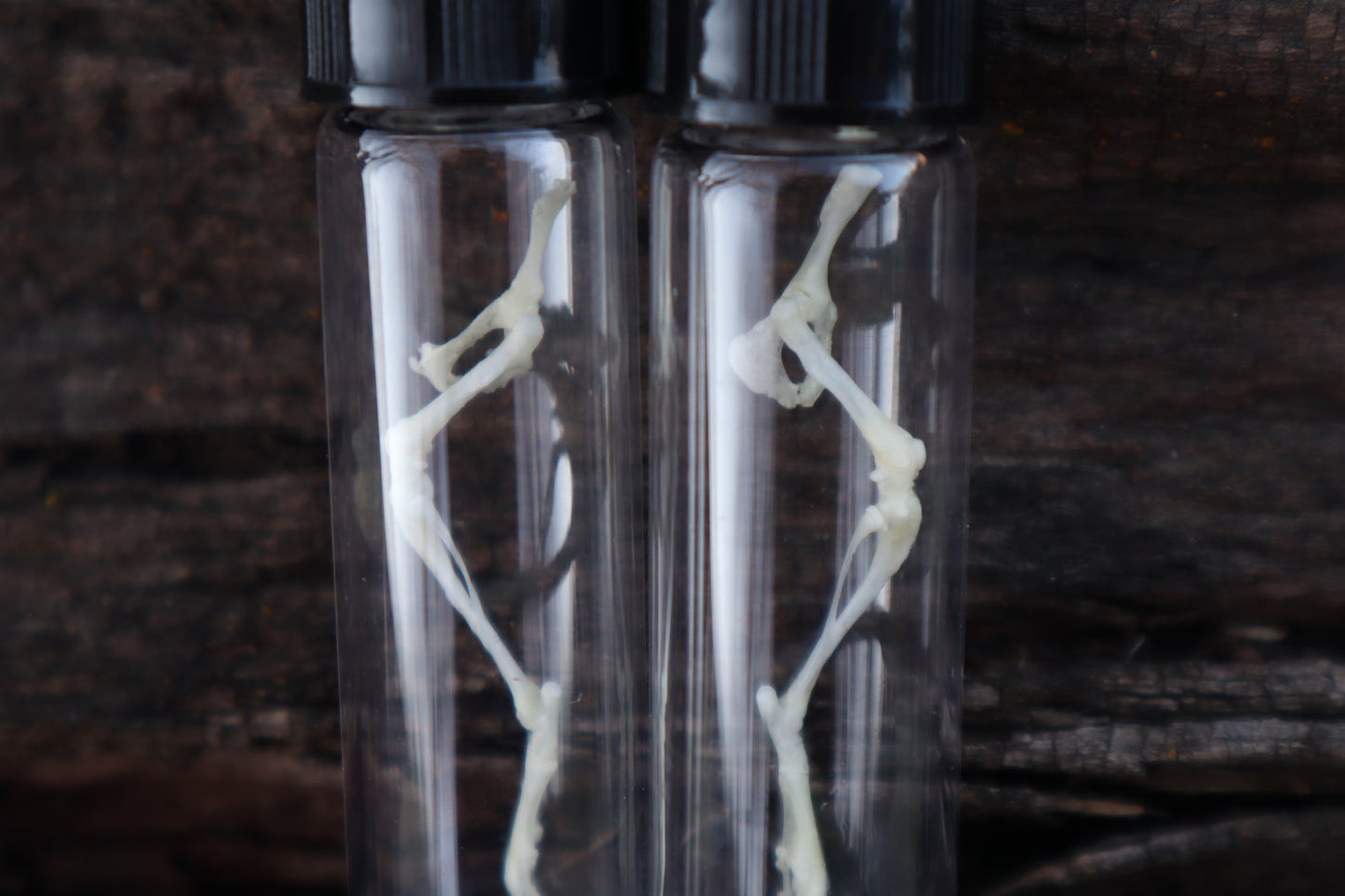 Mouse Leg Articulation