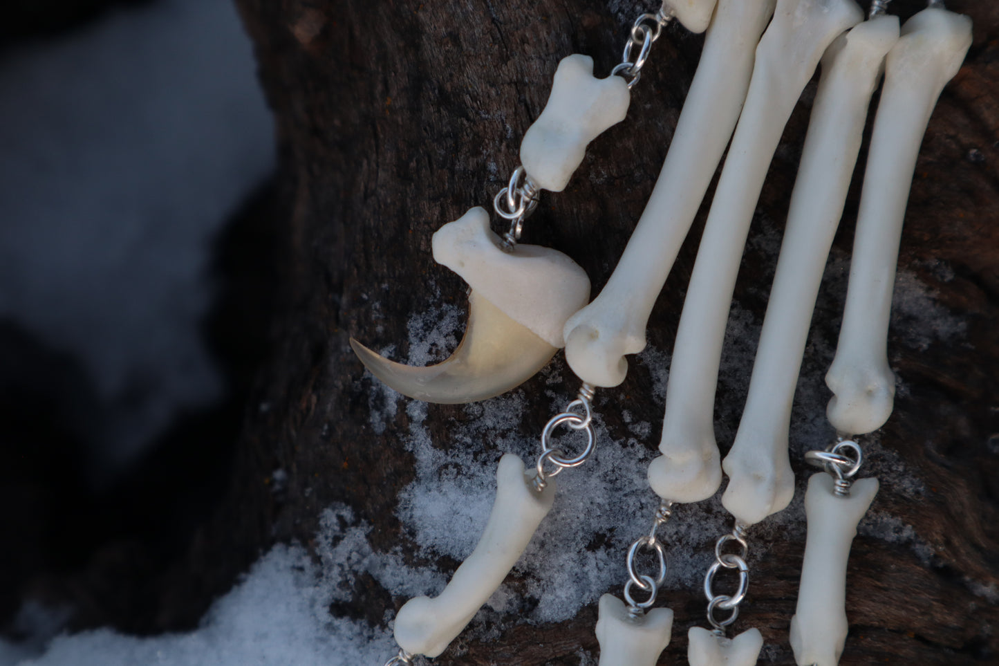Fluid Bobcat Paw Articulation