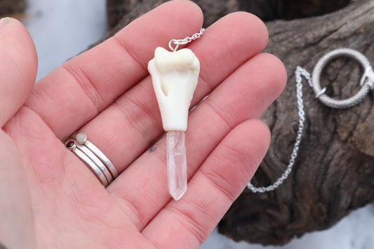 Domestic Cat Humerus Pendulum with Ouroboros Ring