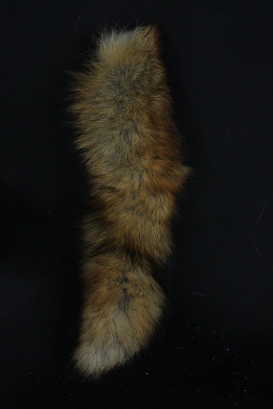 Fox Tail