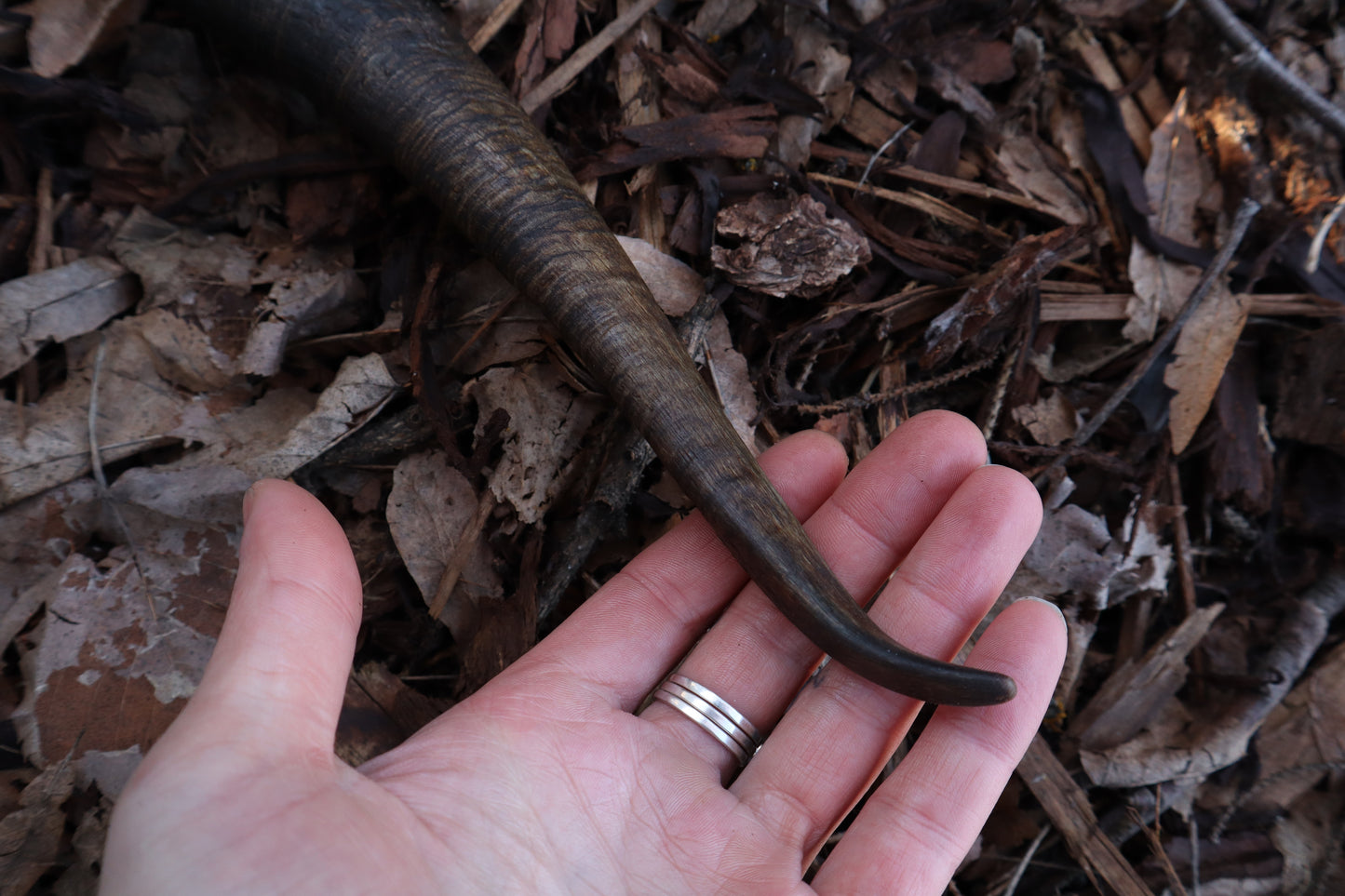 Goat Horn Hatchet