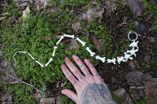 Fluid Gray Wolf Tail Articulation with Ouroboros Ring