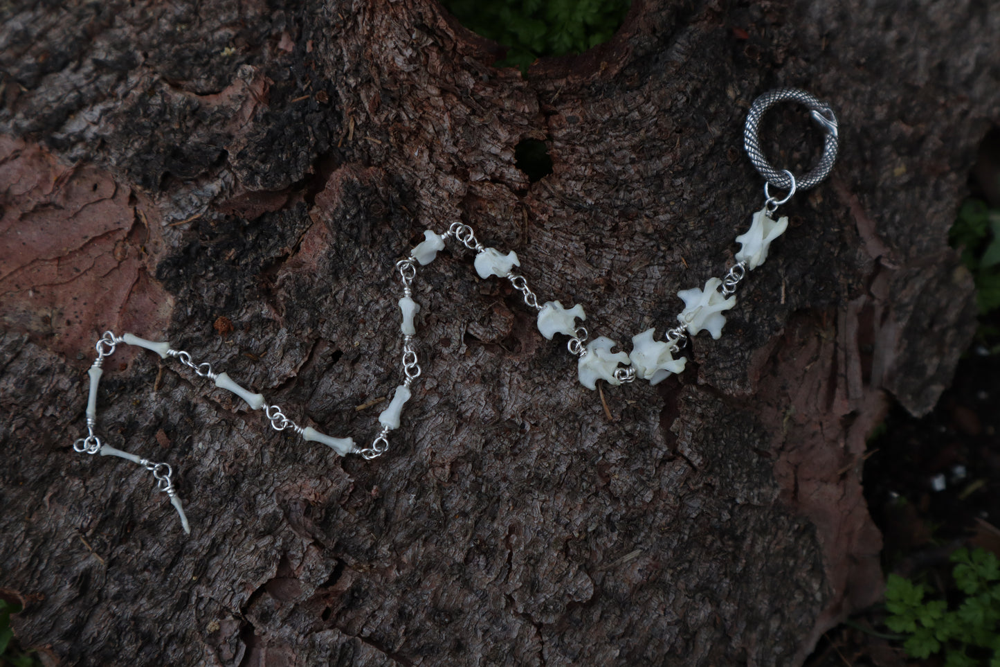 Fluid Rabbit Tail Articulation with Ouroboros Ring