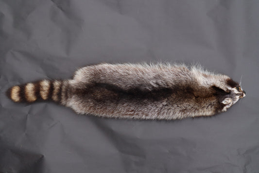 Raccoon Wall Hanger