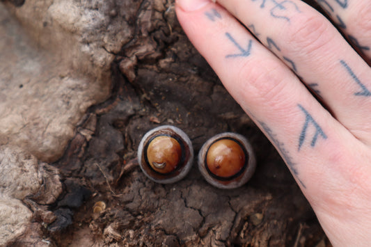 Dry Preserved Coyote Eyeballs