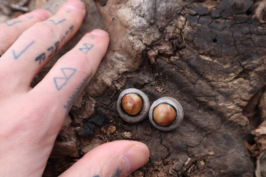 Dry Preserved Coyote Eyeballs