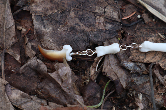 Dead Man's Toe - Fluid Articulated Coyote Finger