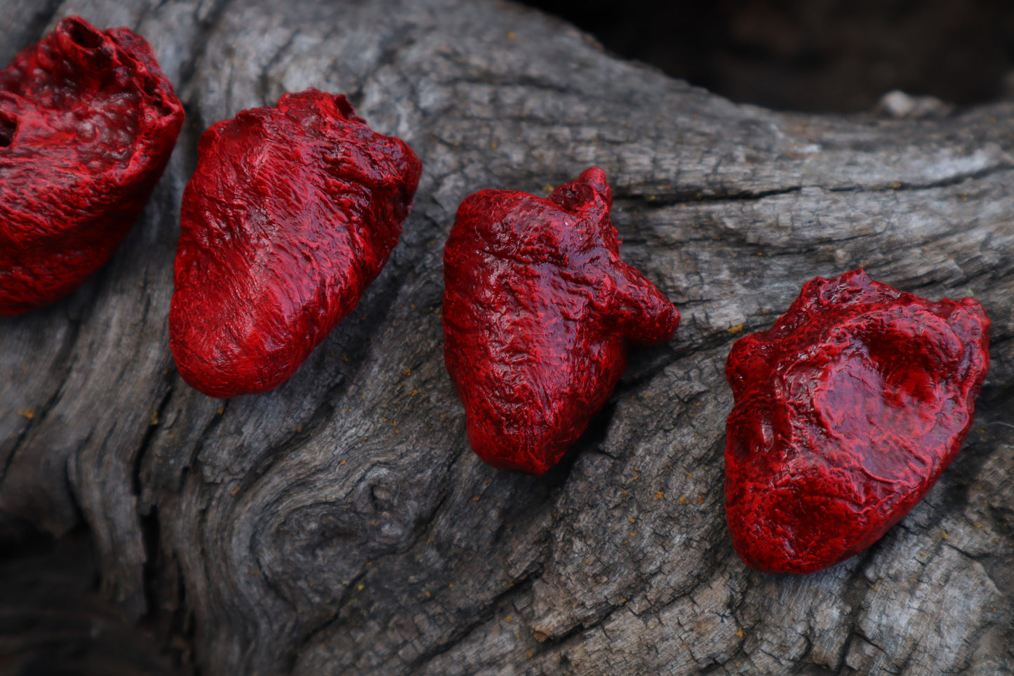 Dry Preserved Chicken Heart