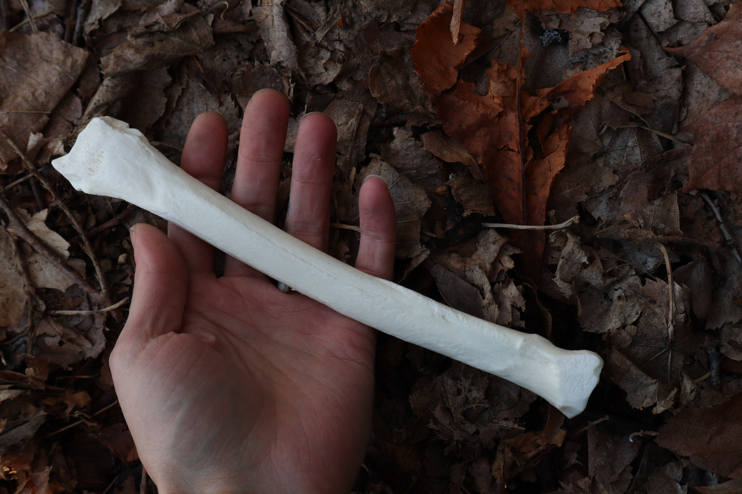 Wolf Bone Forest Spirit Incense Burner