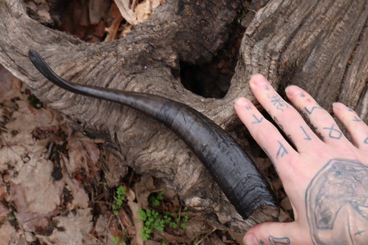 Goat Horn - Single