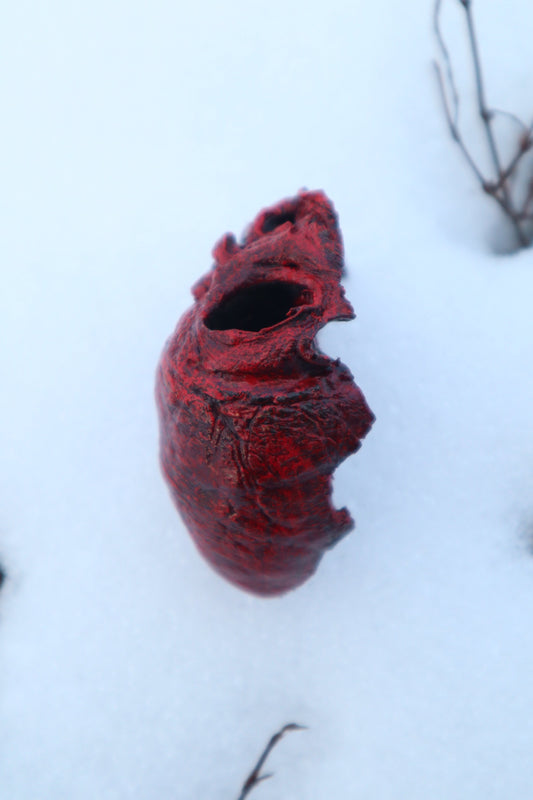 Dry Preserved Bisected Coyote Heart