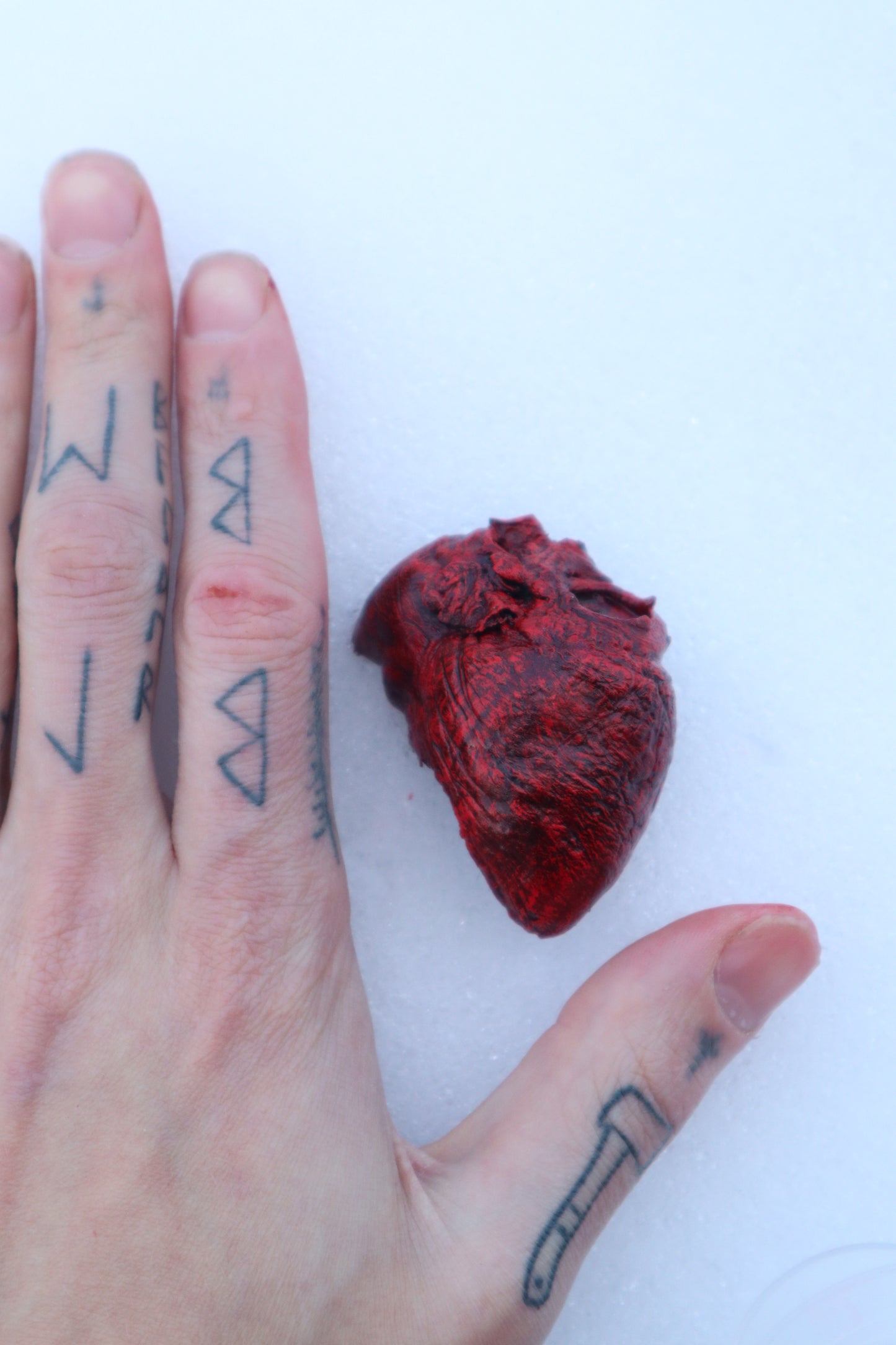 Dry Preserved Bisected Coyote Heart
