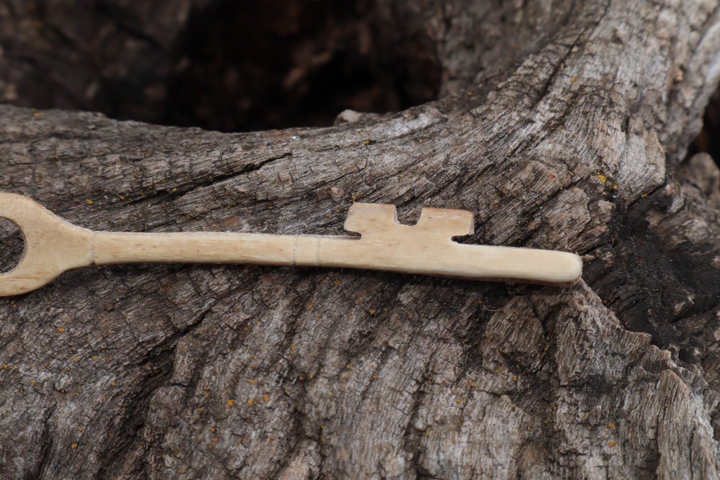 German Shepherd Skeleton Key