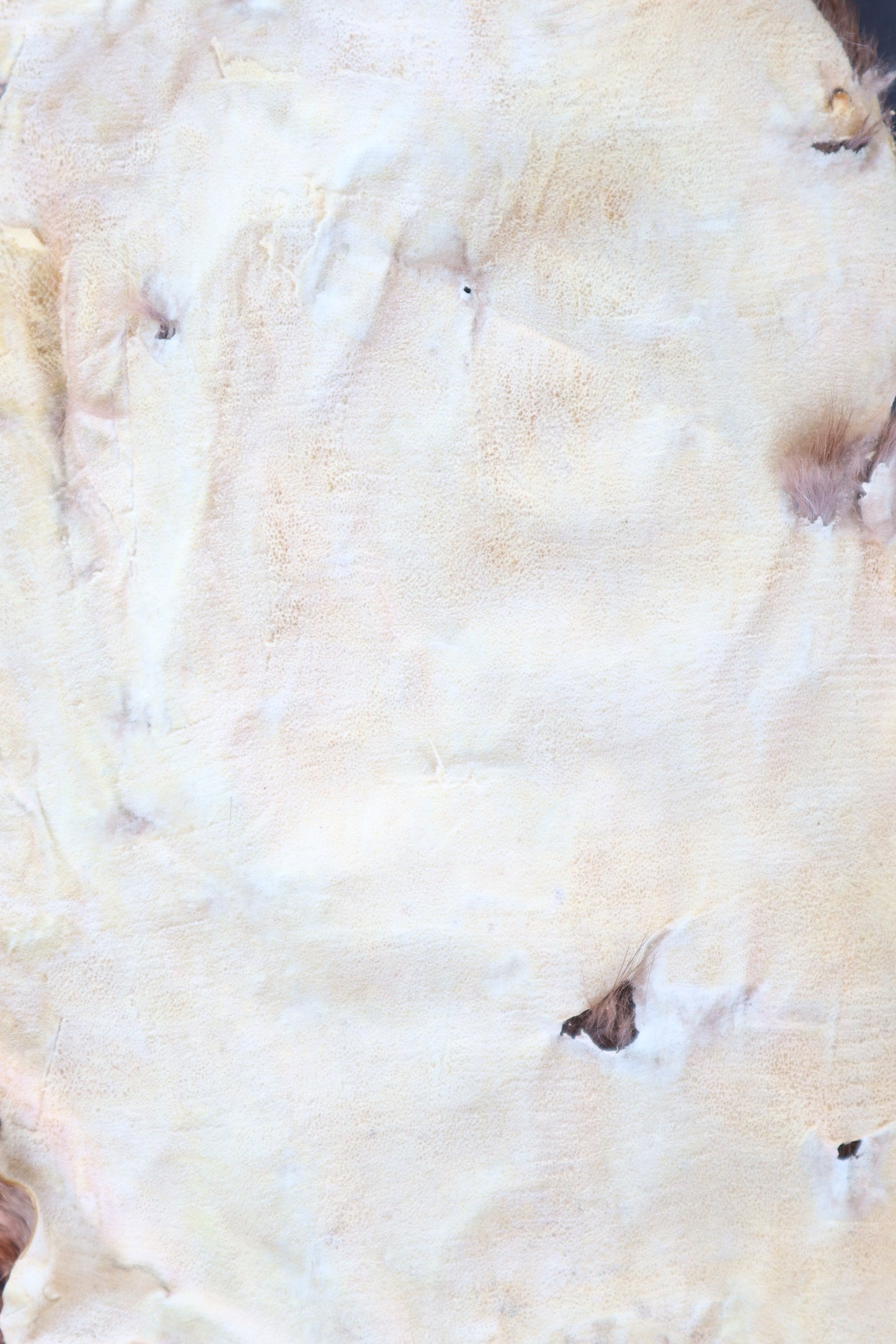 Soft Tanned Mink Pelt