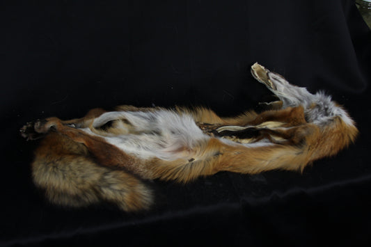Lifesize Red Fox Wall Hanger