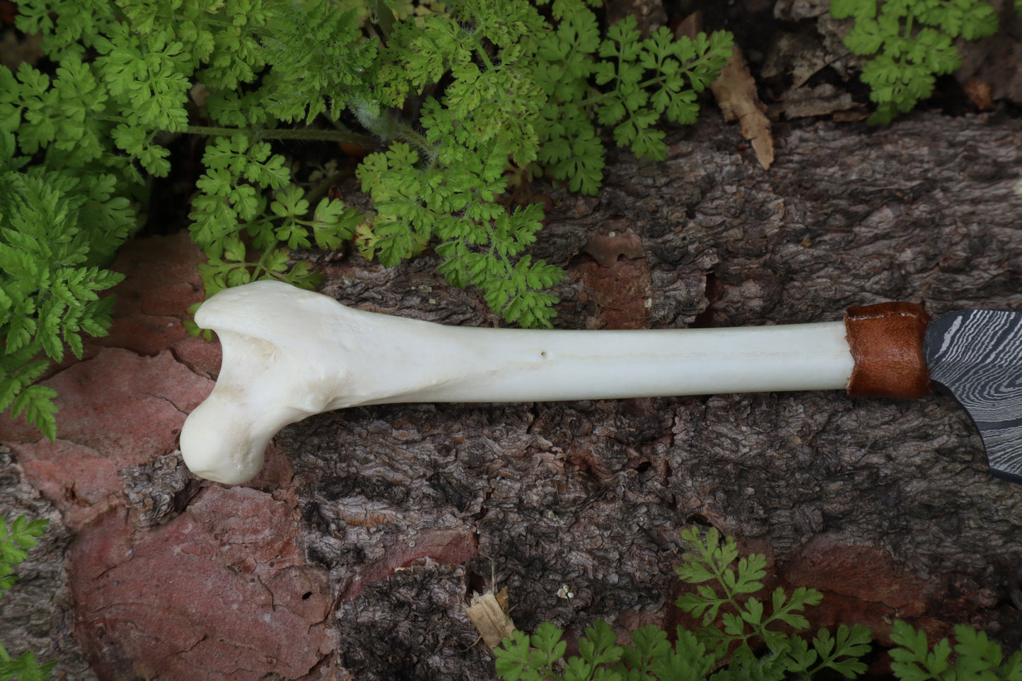 Damascus Red Fox Femur Cleaver