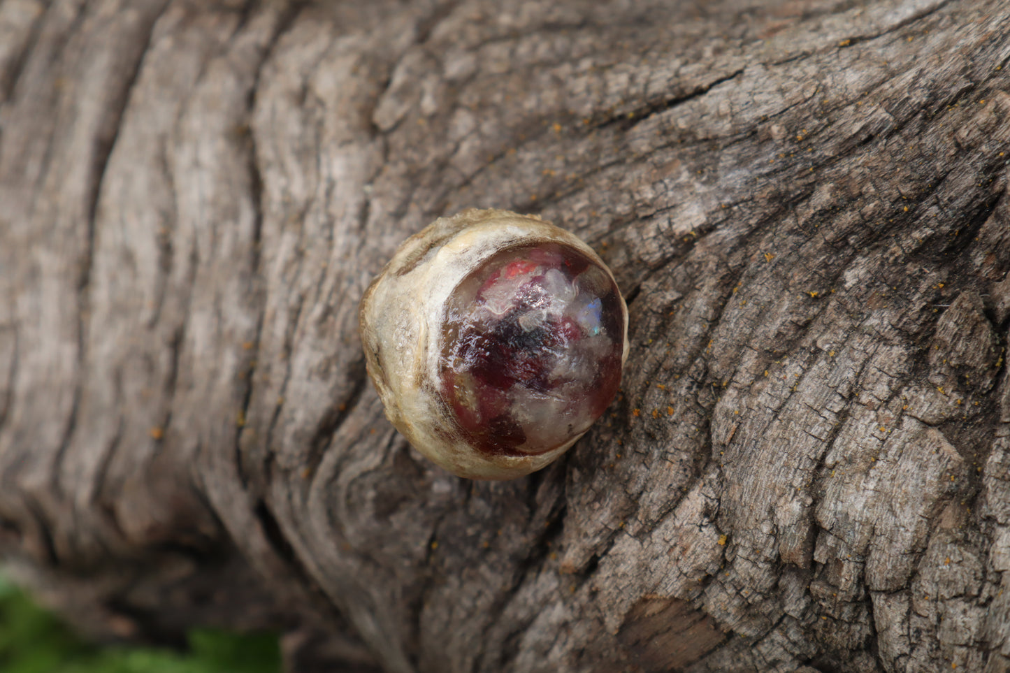 Crystal Mountain Lion Eyeball