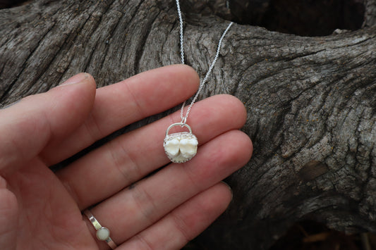 Raccoon Molar Necklace - .925 Sterling Silver