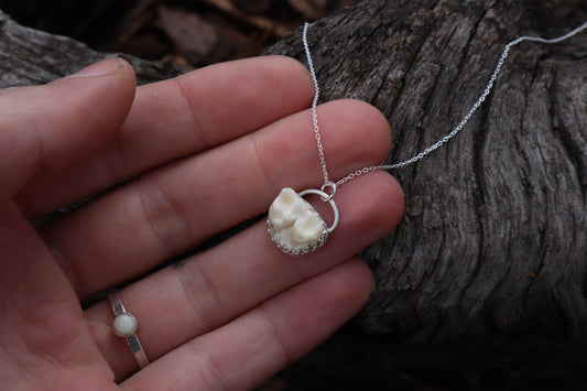 Raccoon Molar Necklace - .925 Sterling Silver