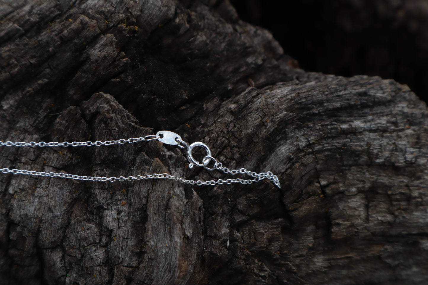 Raccoon Molar Necklace - .925 Sterling Silver