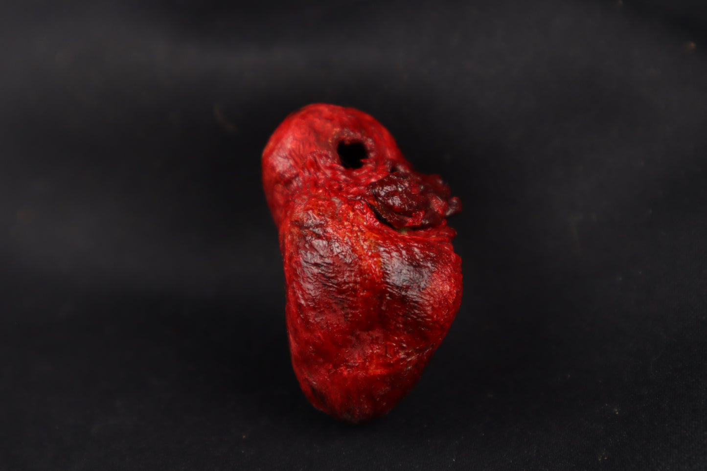 Dry Preserved Bobcat Heart