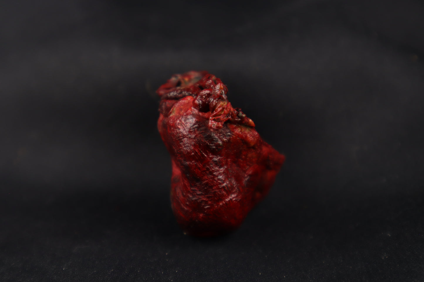 Dry Preserved Bobcat Heart
