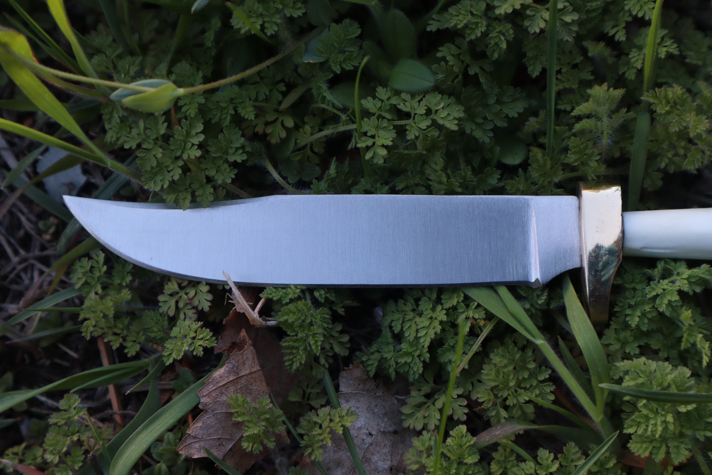 Red Fox Humerus Athame