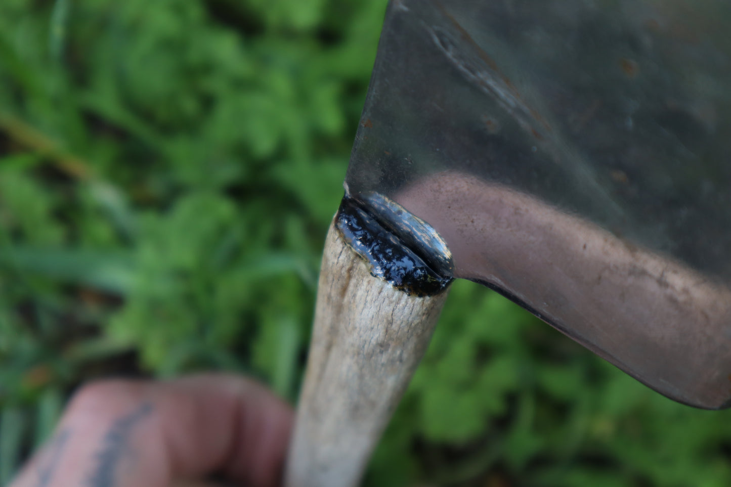 Whitetail Deer Antler Butcher Knife