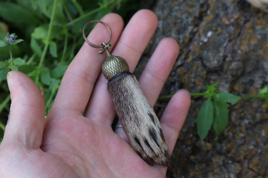 Raccoon Paw Acorn Keychain