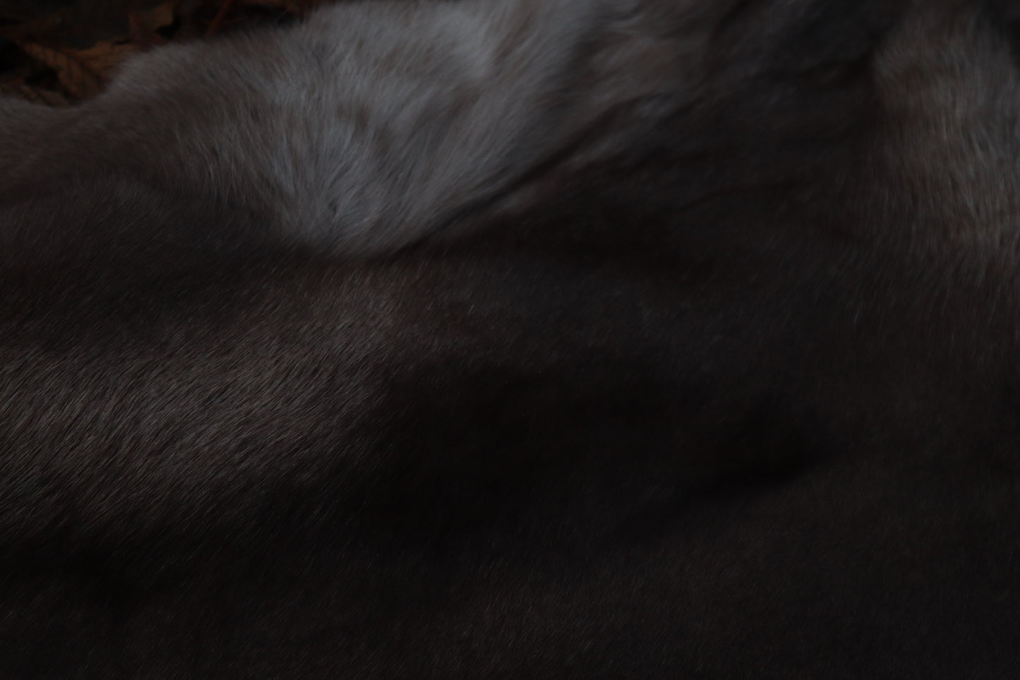 Soft Tanned Reindeer Pelt