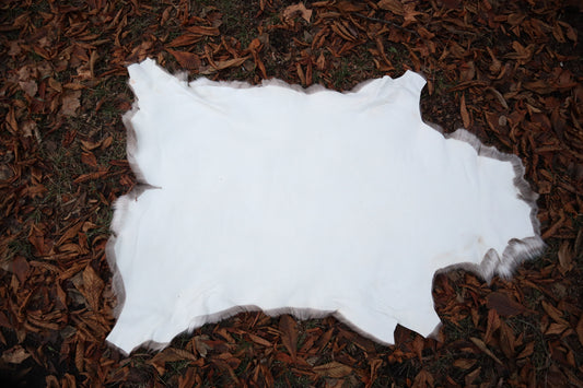Soft Tanned Reindeer Pelt