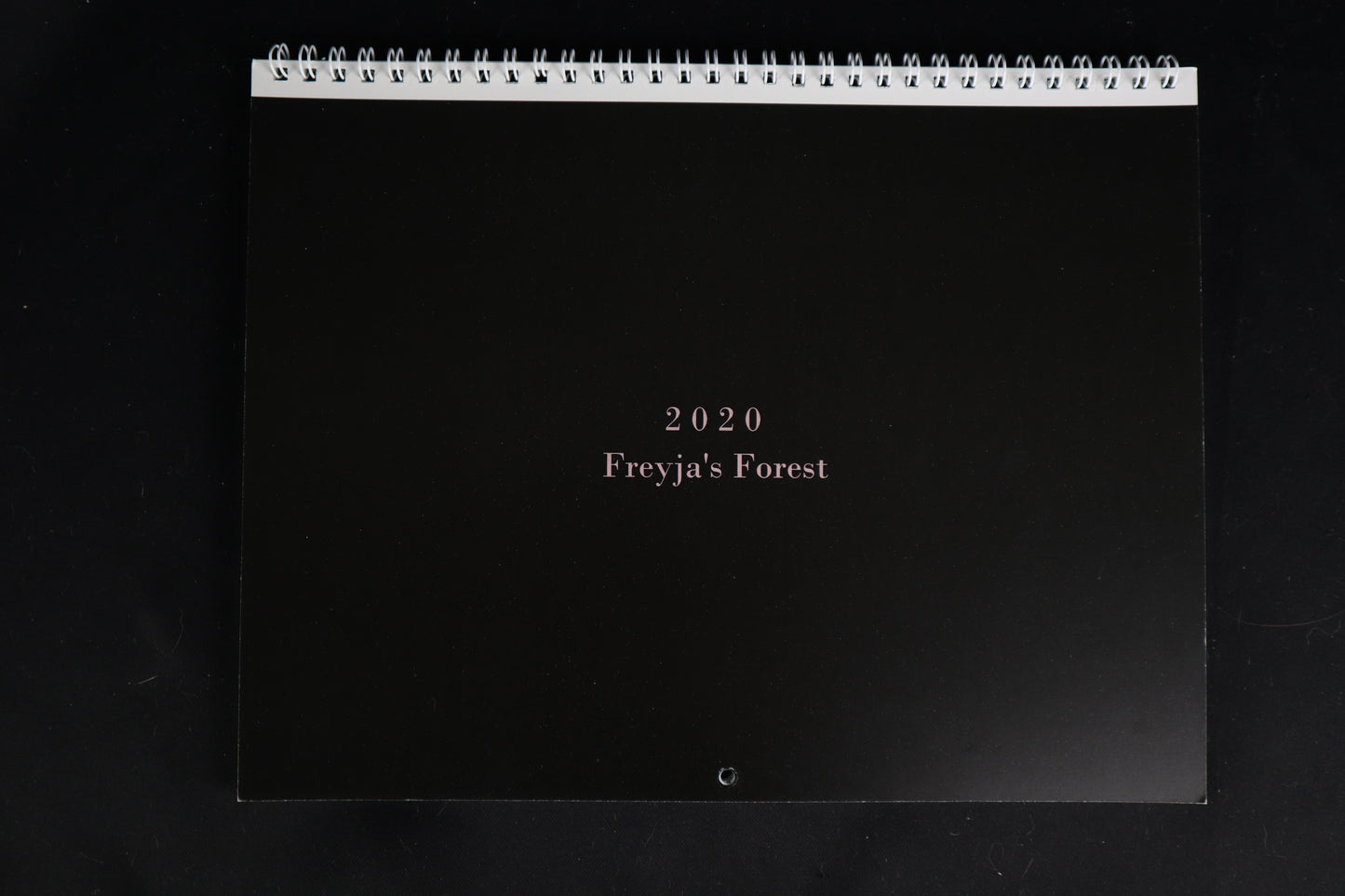 Calendar 2020