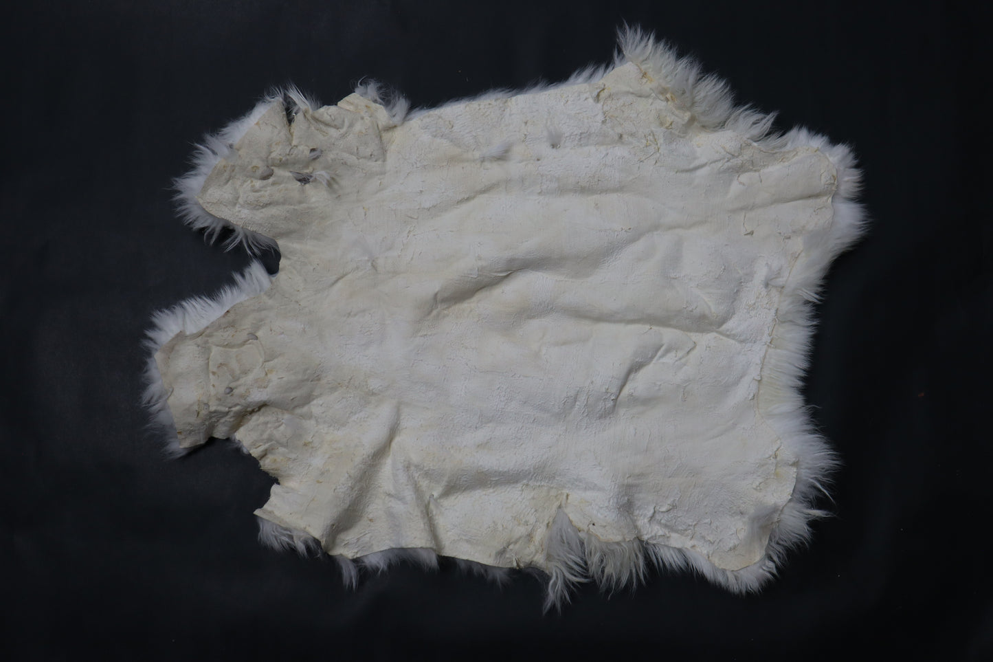 Soft Tanned Rabbit Pelt