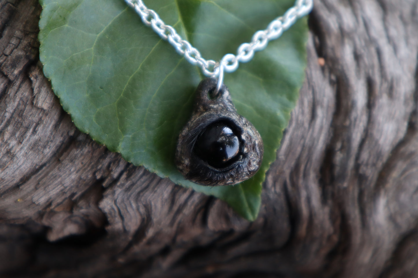Raccoon Eyeball Talisman