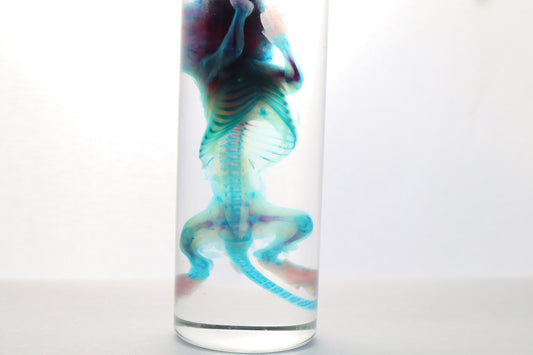 Diaphonized Baby Mouse