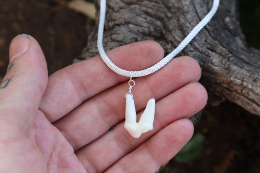 Gray Wolf Tooth Necklace