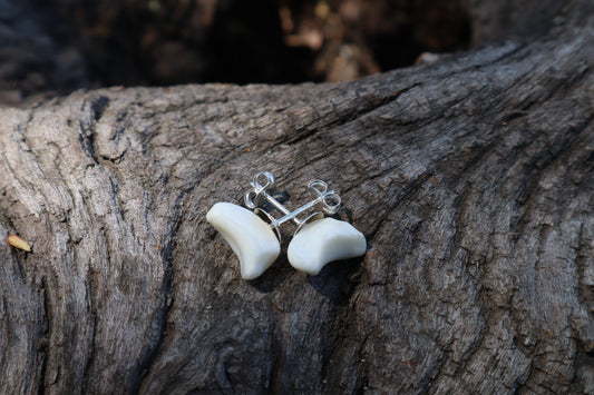 Gray Wolf Bone Stud Earrings