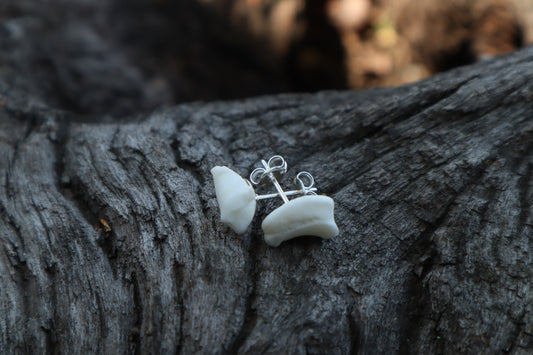Gray Wolf Bone Stud Earrings
