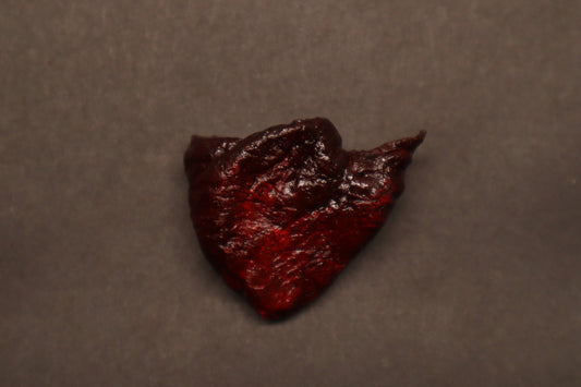 Dry Preserved Baby Goat Heart