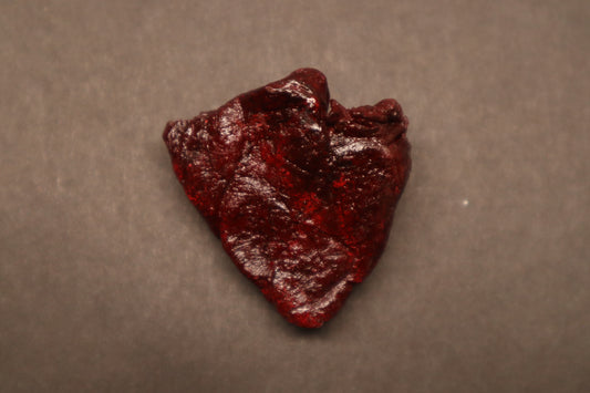 Dry Preserved Baby Goat Heart