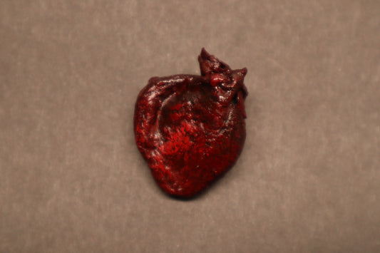Dry Preserved Raccoon Heart