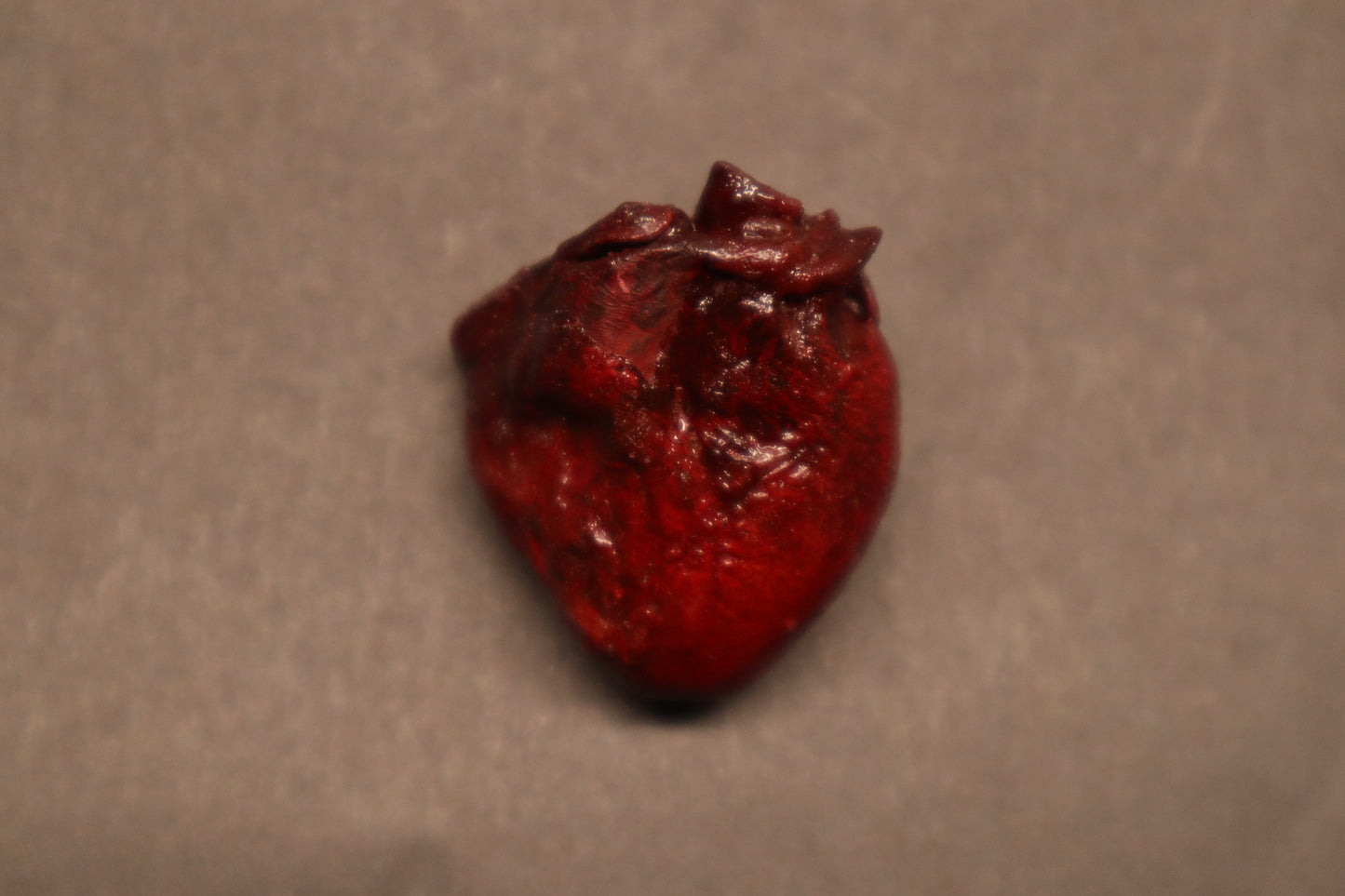 Dry Preserved Raccoon Heart